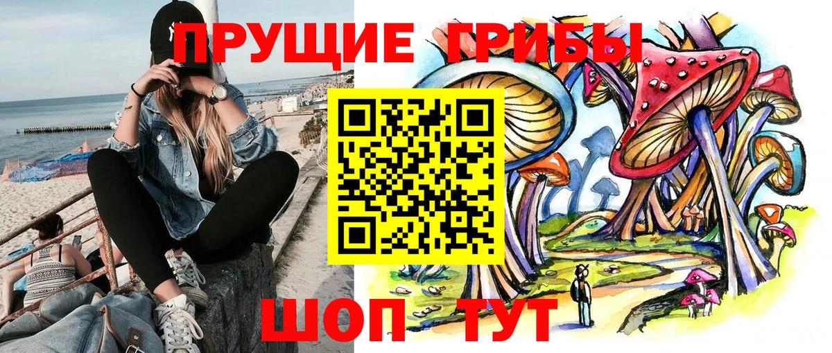 Гусиноозёрск  Псилоцибиновые грибы Psilocybine cubensis  Вход с VPN 