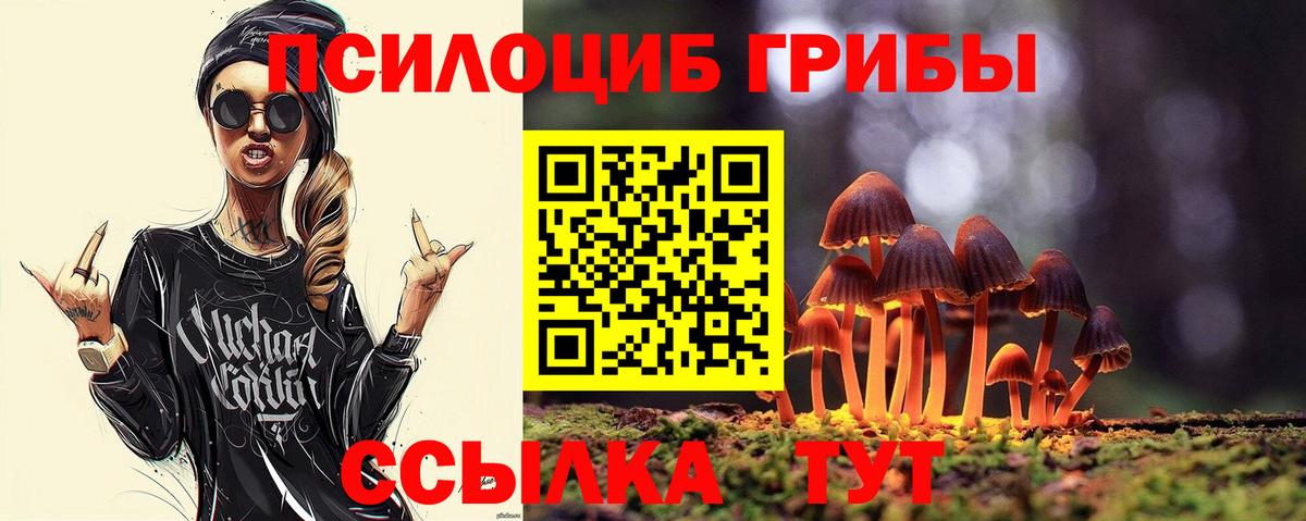 Псилоцибиновые грибы GOLDEN TEACHER Гусиноозёрск